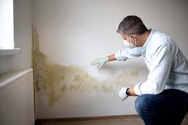 Why You Should Choose Our Mold Remediation Services in Moundridge, KS